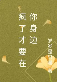 瘋了纔要在你身邊 封面