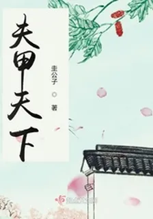 夫甲天下 封面