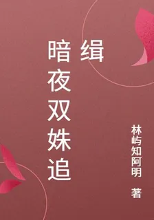 暗夜雙姝追緝 封面