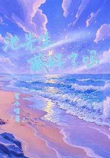 池先生藏好了嗎 封面