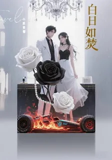 白日如焚 封面