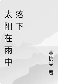 太陽在雨中落下 封面