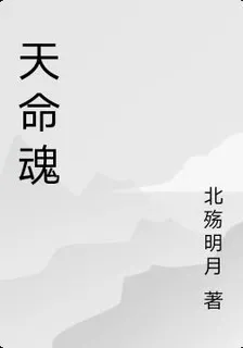 天命魂 封面