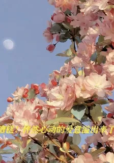 糟糕！怦然心動的愛意溢出來了 封面