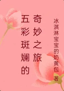 五彩斑斕的奇妙之旅 封面