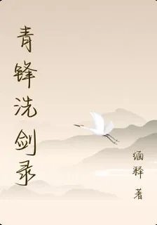 青鋒洗劍錄 封面