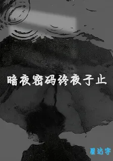 暗夜密碼終夜於止 封面