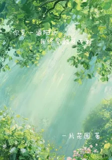 你是一道陽光，我終究觸及不到 封面