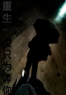 重回一世只爲等你 封面
