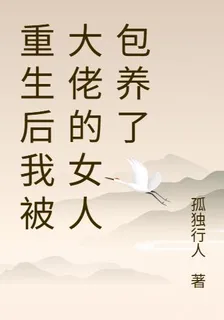 重生後我被大佬的女人包養了 封面