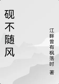 硯不隨風 封面