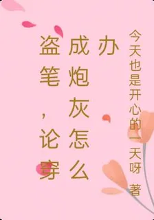 盜筆，論穿成炮灰怎麼辦 封面