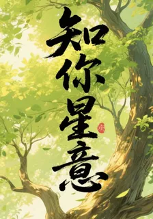 知你星意 封面
