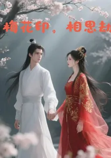 梅花印，相思劫 封面