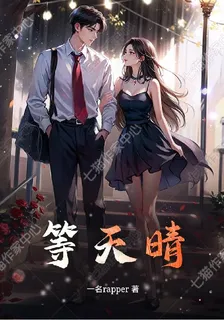 苦等天晴 封面