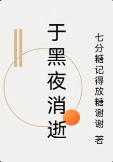 於黑夜消逝 封面