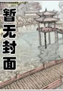 楊凡胡琳 封面