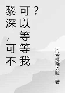 黎深，可不可以等等我？ 封面