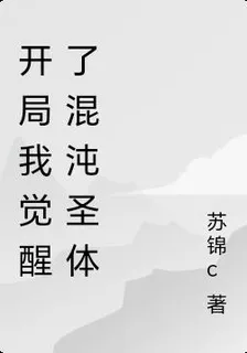 開局我覺醒了混沌聖體 封面