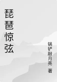 琵琶驚弦 封面