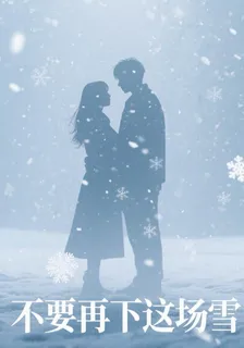 不要再下這場雪 封面