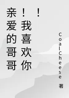親愛的哥哥！我喜歡你！ 封面
