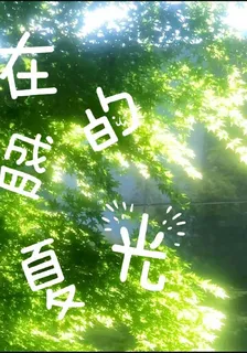 在盛夏的光 封面
