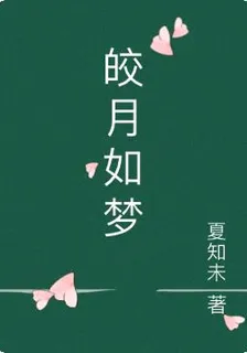 皎月如夢 封面