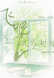 飛吧，我的翅膀 封面