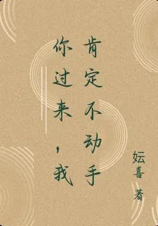 你過來，我肯定不動手 封面