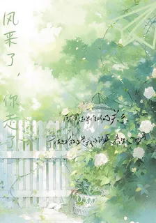鳳來了，你走了 封面