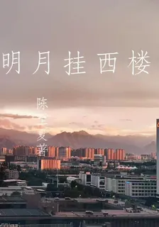奈何明月掛西樓 封面