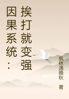 因果系統：捱打就變強 封面