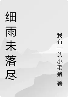 細雨未落盡 封面