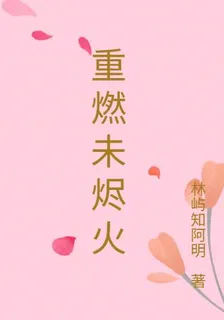 重燃未燼火 封面