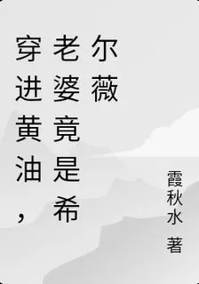 穿進異世界，老婆竟是希爾薇 封面