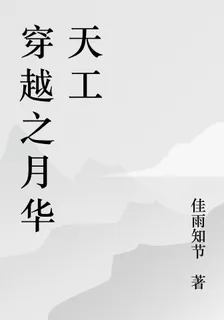 穿越之月華天工 封面