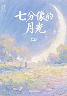 七分像的月光 封面
