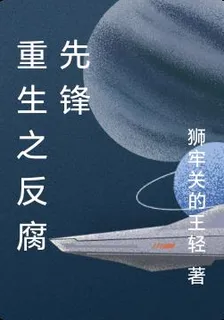重生之反腐先鋒 封面