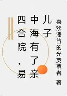 四合院，易中海有了親兒子 封面