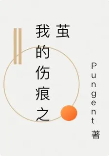 我的傷痕之繭 封面