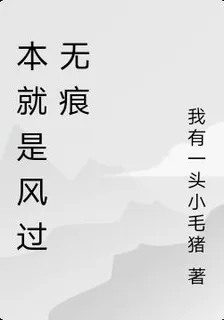 本就是風過無痕 封面