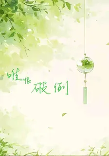 唯恨破例 封面
