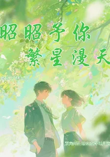 昭昭予你繁星漫天 封面