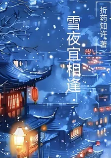 雪夜宜相逢 封面