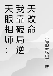 天眼相師：我靠破局逆天改命 封面