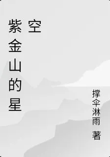 紫金山的星空 封面