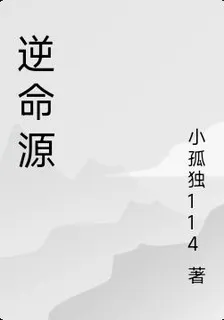 逆命源 封面