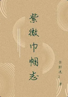 紫微巾幗志 封面