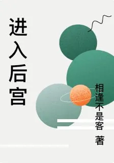 進入後宮 封面